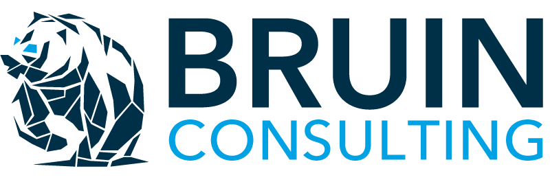 Bruin Consulting